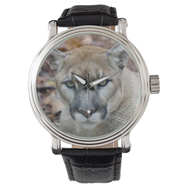 Cougar, berlion, Florida panther, Puma Horloge (Voorkant)