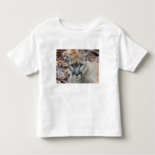 Cougar, berlion, Florida panther, Puma Kinder Shirts