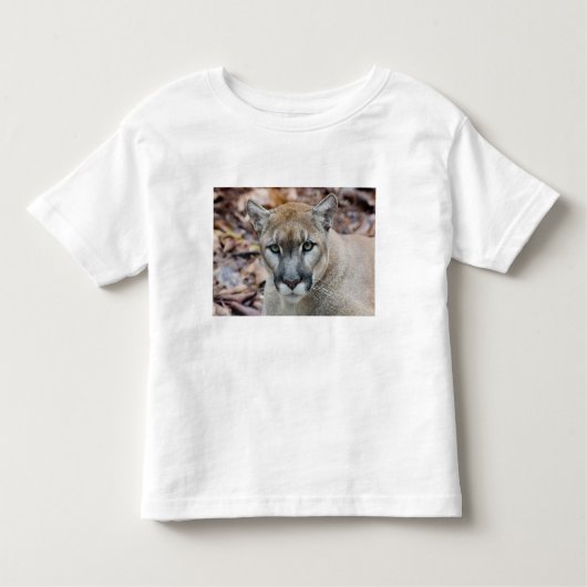 Cougar, berlion, Florida panther, Puma Kinder Shirts (Voorkant)