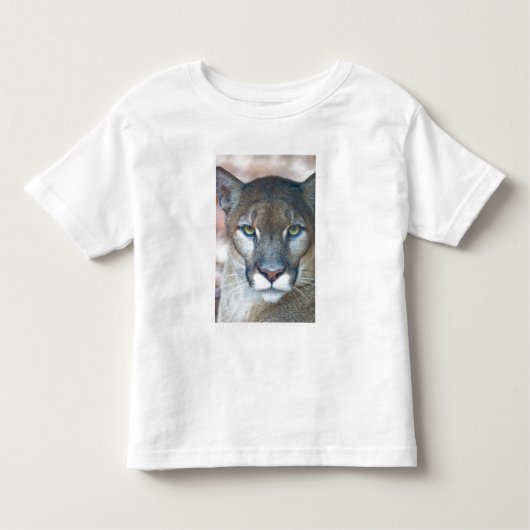 Cougar, berlion, Florida panther, Puma Kinder Shirts (Voorkant)