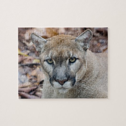 Cougar, berlion, Florida panther, Puma Legpuzzel (Horizontaal)