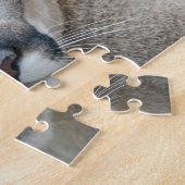 Cougar, berlion, Florida panther, Puma Legpuzzel (Zijkant)