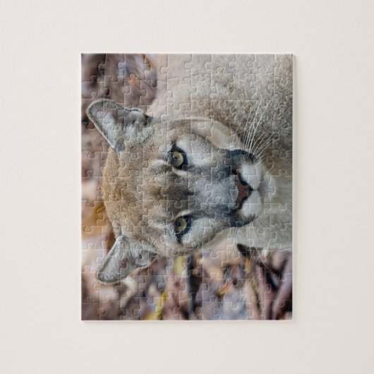 Cougar, berlion, Florida panther, Puma Legpuzzel (Verticaal)