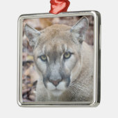 Cougar, berlion, Florida panther, Puma Metalen Ornament (Links)