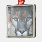 Cougar, berlion, Florida panther, Puma Metalen Ornament (Links)