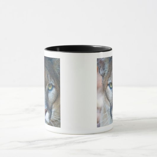 Cougar, berlion, Florida panther, Puma Mok (Midden)