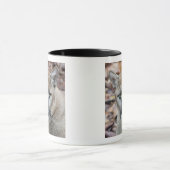 Cougar, berlion, Florida panther, Puma Mok (Midden)