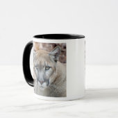 Cougar, berlion, Florida panther, Puma Mok (Voorkant links)