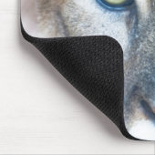 Cougar, berlion, Florida panther, Puma Muismat (Hoek)