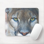 Cougar, berlion, Florida panther, Puma Muismat (Met muis)