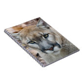 Cougar, berlion, Florida panther, Puma Notitieboek (Rechterzijde)