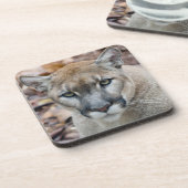 Cougar, berlion, Florida panther, Puma Onderzetter (Linkerzijde)