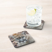 Cougar, berlion, Florida panther, Puma Onderzetter (Rechterzijde)