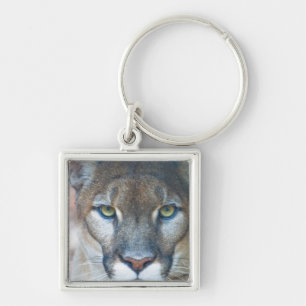 Cougar, berlion, Florida panther, Puma Sleutelhanger