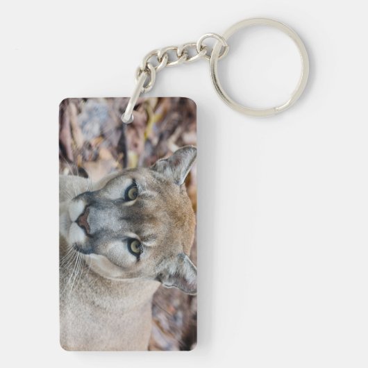 Cougar, berlion, Florida panther, Puma Sleutelhanger (achterkant)