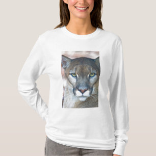 Cougar, berlion, Florida panther, Puma T-shirt