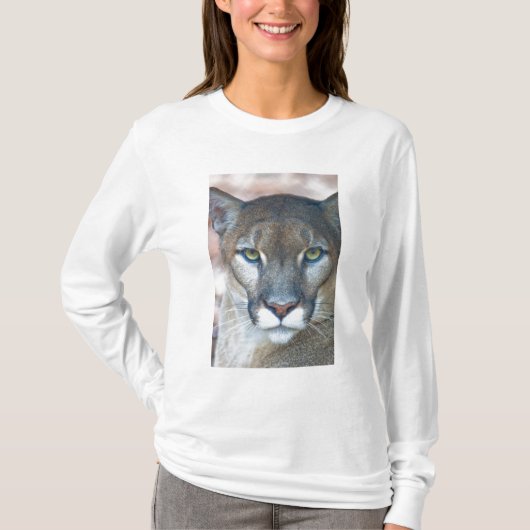 Cougar, berlion, Florida panther, Puma T-shirt (Voorkant)