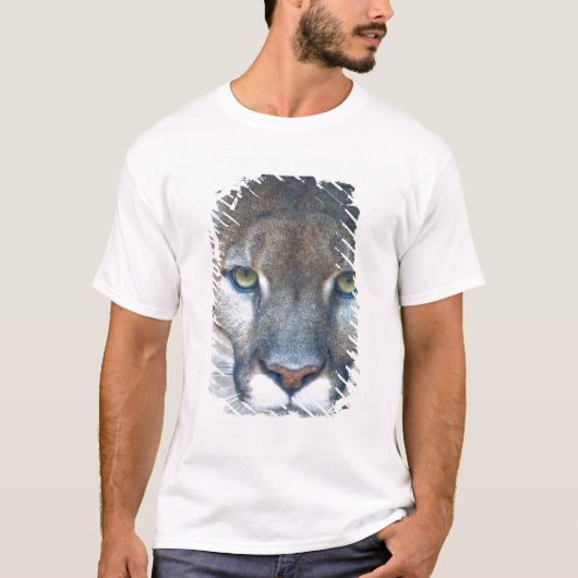 Cougar, berlion, Florida panther, Puma T-shirt (Voorkant)