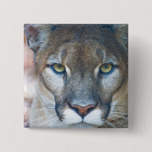 Cougar, berlion, Florida panther, Puma Vierkante Button 5,1 Cm (Voorkant)
