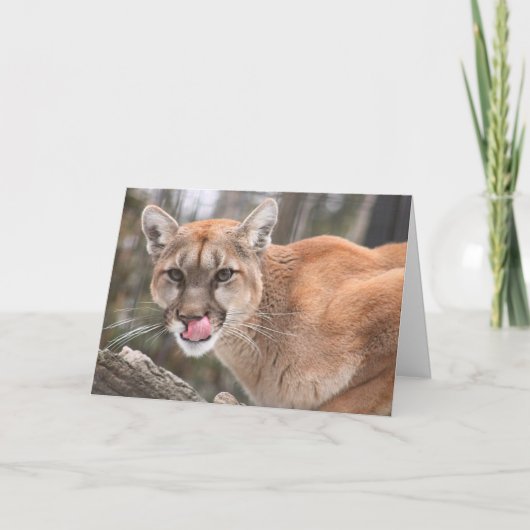 Cougar Big Cat Notecard Kaart (Voorkant)