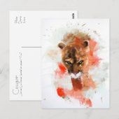 Cougar Briefkaart (Voorkant / Achterkant)