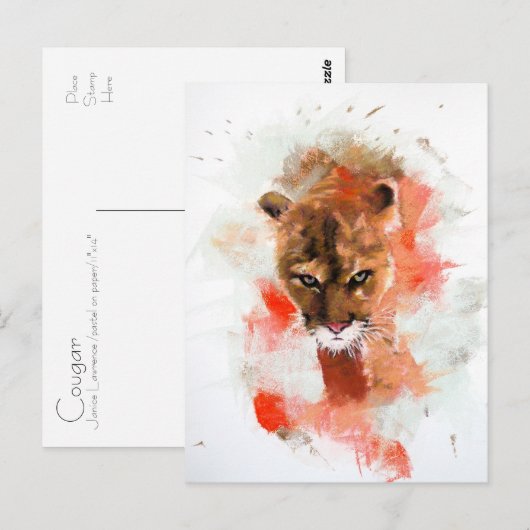 Cougar Briefkaart (Voorkant / Achterkant)