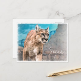 Cougar Briefkaart