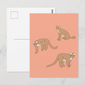 Cougar Briefkaart (Voorkant / Achterkant)