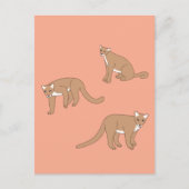 Cougar Briefkaart (Voorkant)