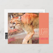 Cougar [Briefkaart] Briefkaart (Voorkant / Achterkant)