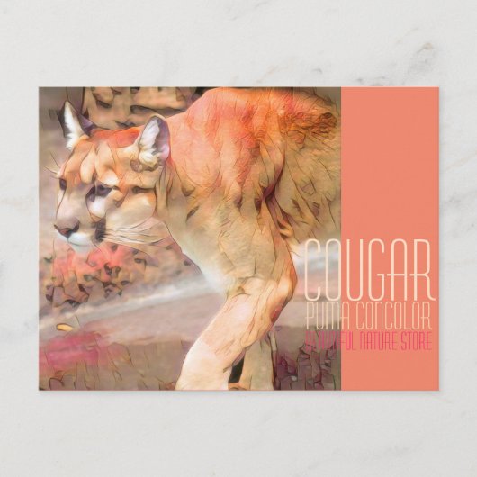 Cougar [Briefkaart] Briefkaart (Voorkant)