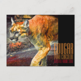 Cougar [Briefkaart] Briefkaart