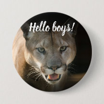 Cougar-Button