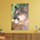 Cougar, Californië Canvas Afdruk (Insitu (Woonkamer))
