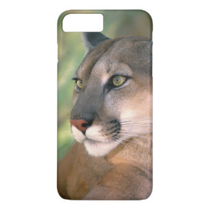 Cougar, Californië Case-Mate iPhone Case