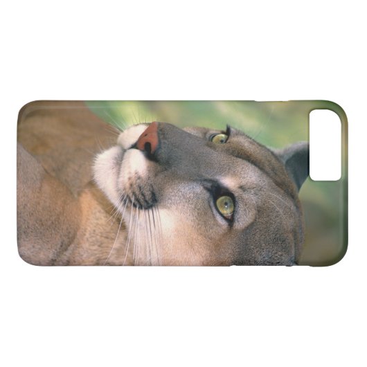 Cougar, Californië Case-Mate iPhone Case (Achterkant (Horizontaal))