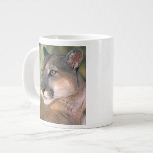 Cougar, Californië Grote Koffiekop