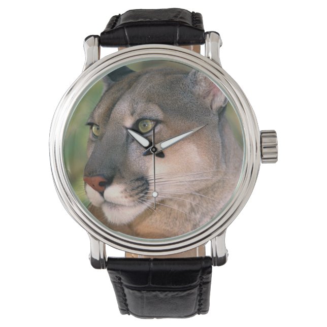 Cougar, Californië Horloge (Voorkant)