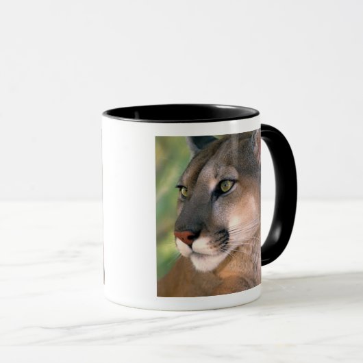 Cougar, Californië Mok (Voorkant rechts)