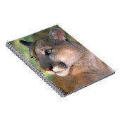 Cougar, Californië Notitieboek (Rechterzijde)