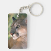 Cougar, Californië Sleutelhanger (achterkant)