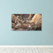 Cougar Canvas Afdruk (Insitu (Houten vloer))