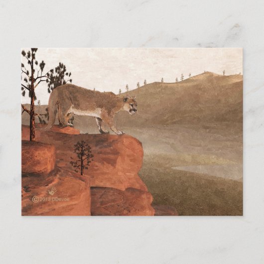 Cougar - Concentratie Briefkaart (Voorkant)