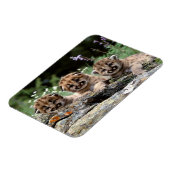 Cougar Cubs Magnet Magneet (Linkerzijde)