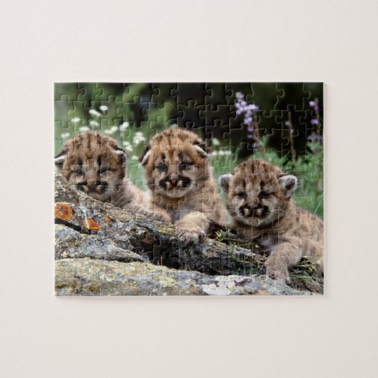 Cougar Cubs Puzzle Legpuzzel (Horizontaal)