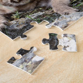 Cougar Cubs Puzzle Legpuzzel (Zijkant)