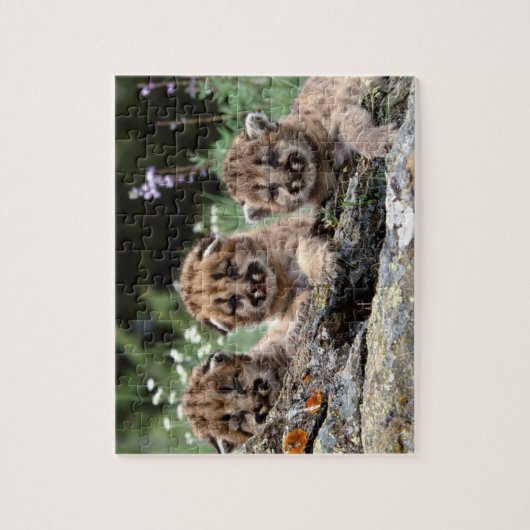 Cougar Cubs Puzzle Legpuzzel (Verticaal)