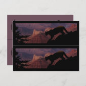Cougar en Grand Canyon Briefkaart (Voorkant / Achterkant)