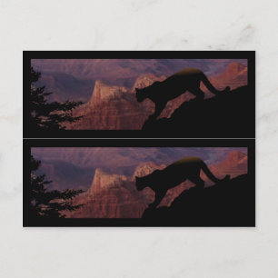 Cougar en Grand Canyon Briefkaart