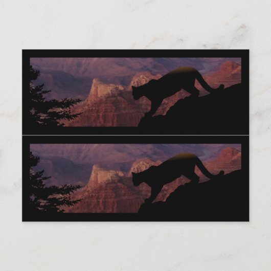 Cougar en Grand Canyon Briefkaart (Voorkant)